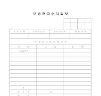 보유현금수지일보 보유현금수지일보